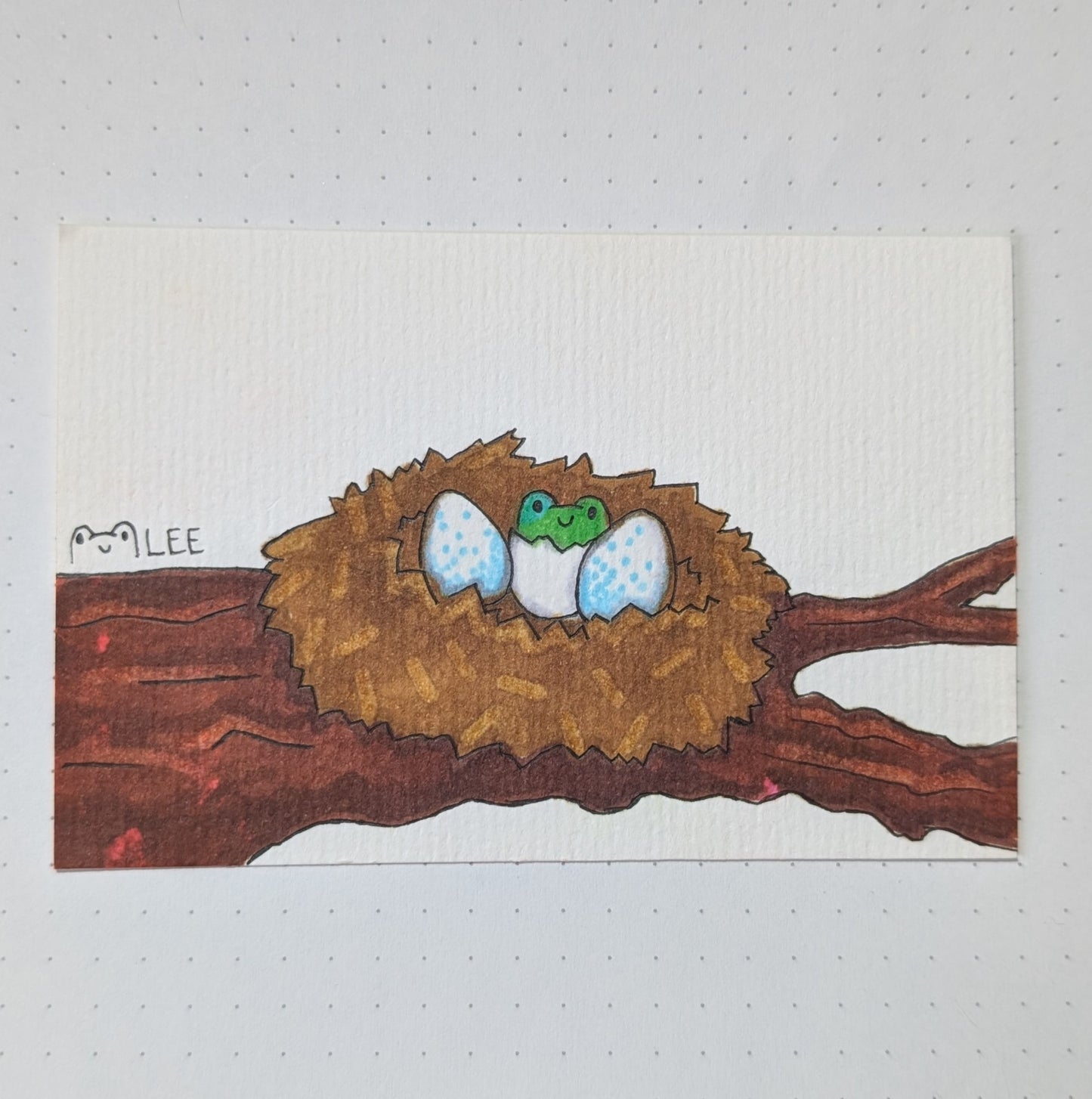 "Frosch im Nest"
